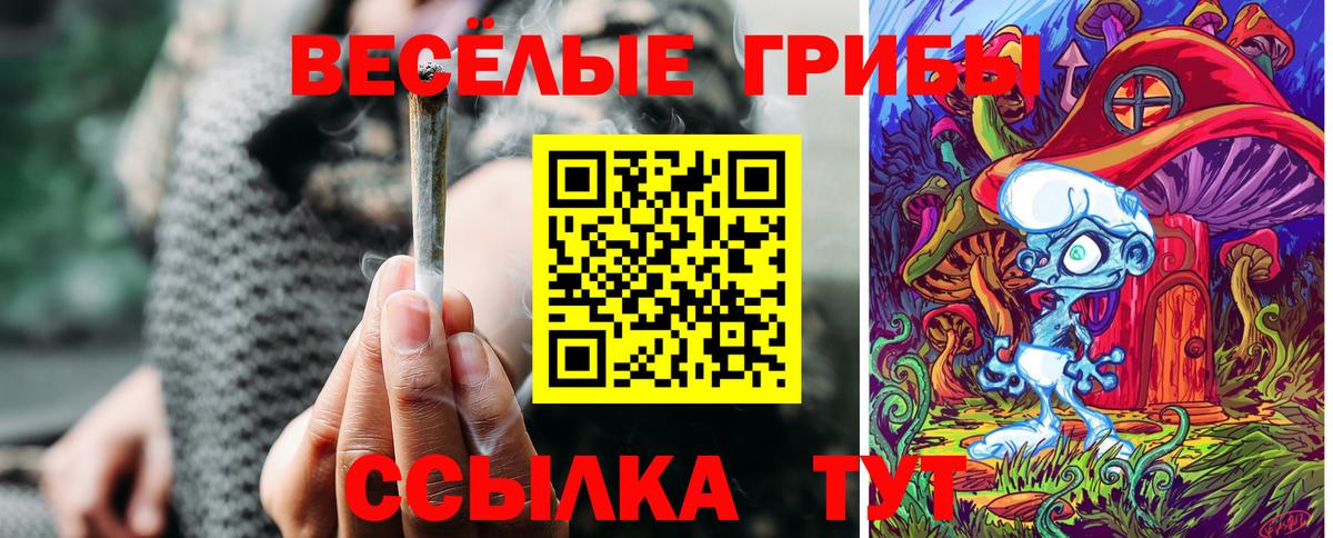 Галлюциногенные грибы MAGIC MUSHROOMS Звенигород